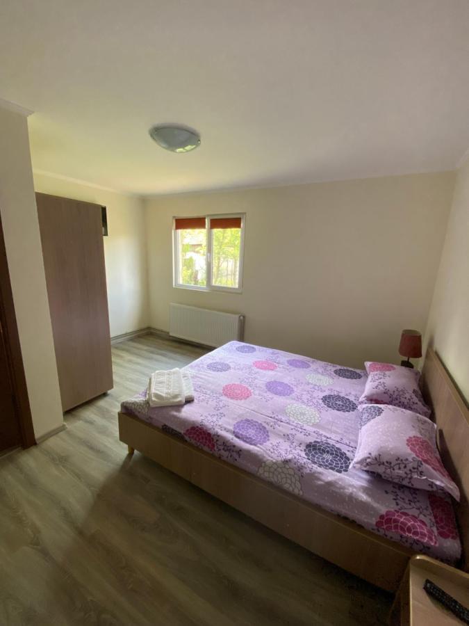 Villa Casa Magda - Oaza De Relaxare à Călimăneşti Extérieur photo